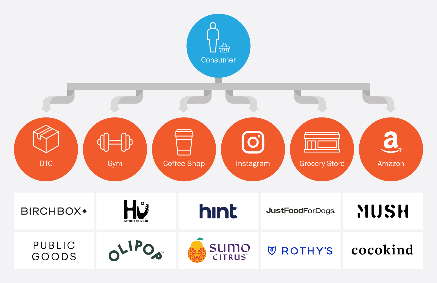 2020 Challenger Brand Study: Challenging in an Omni-World - Seurat